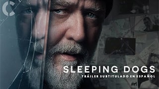 Sleeping Dogs Torrent