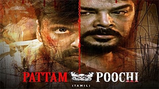 Pattampoochi Torrent