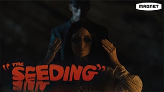 The Seeding Torrent